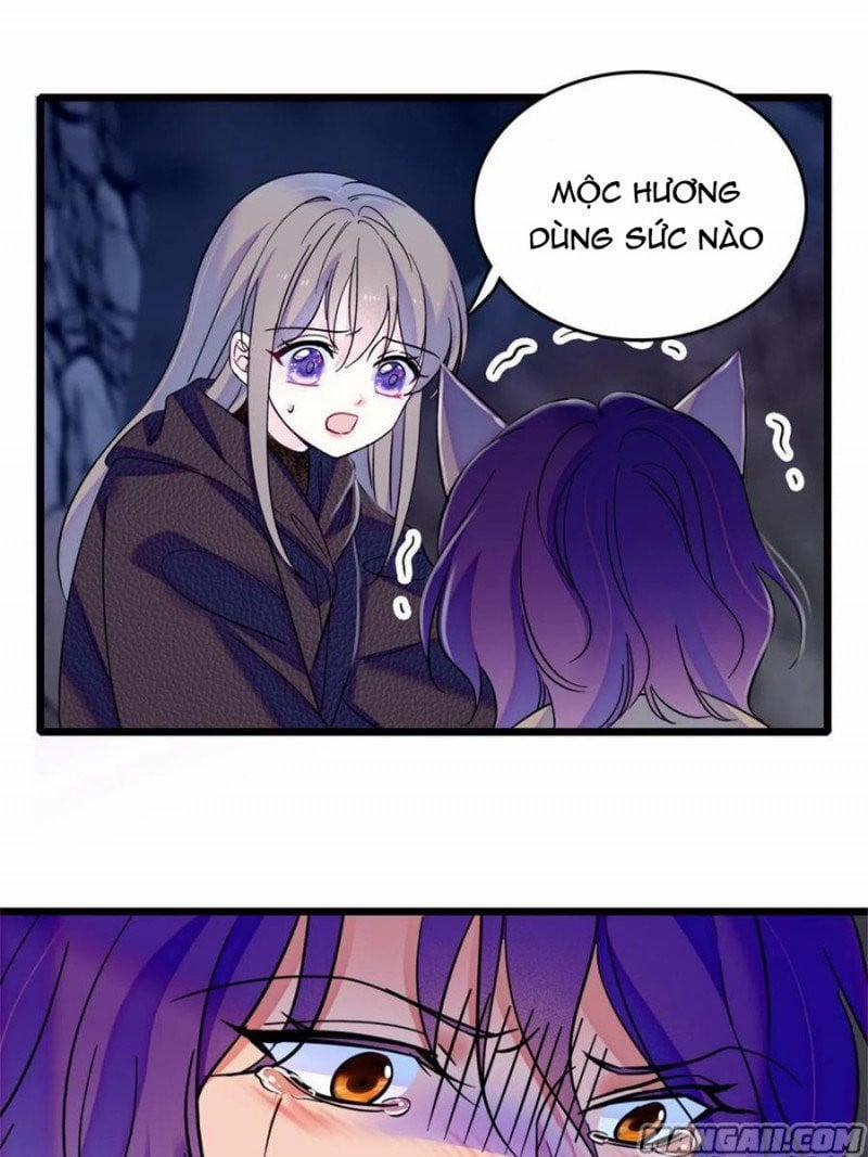 Mau Chạy !! Nam Thần Thú Thế Đến Truy Thê 107 trang 8