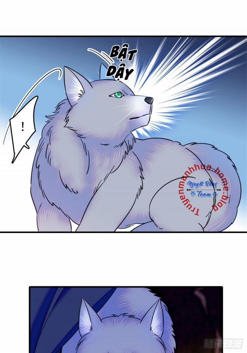 Mau Chạy !! Nam Thần Thú Thế Đến Truy Thê 50 trang 6