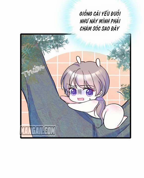 Mau Chạy !! Nam Thần Thú Thế Đến Truy Thê 6 trang 9