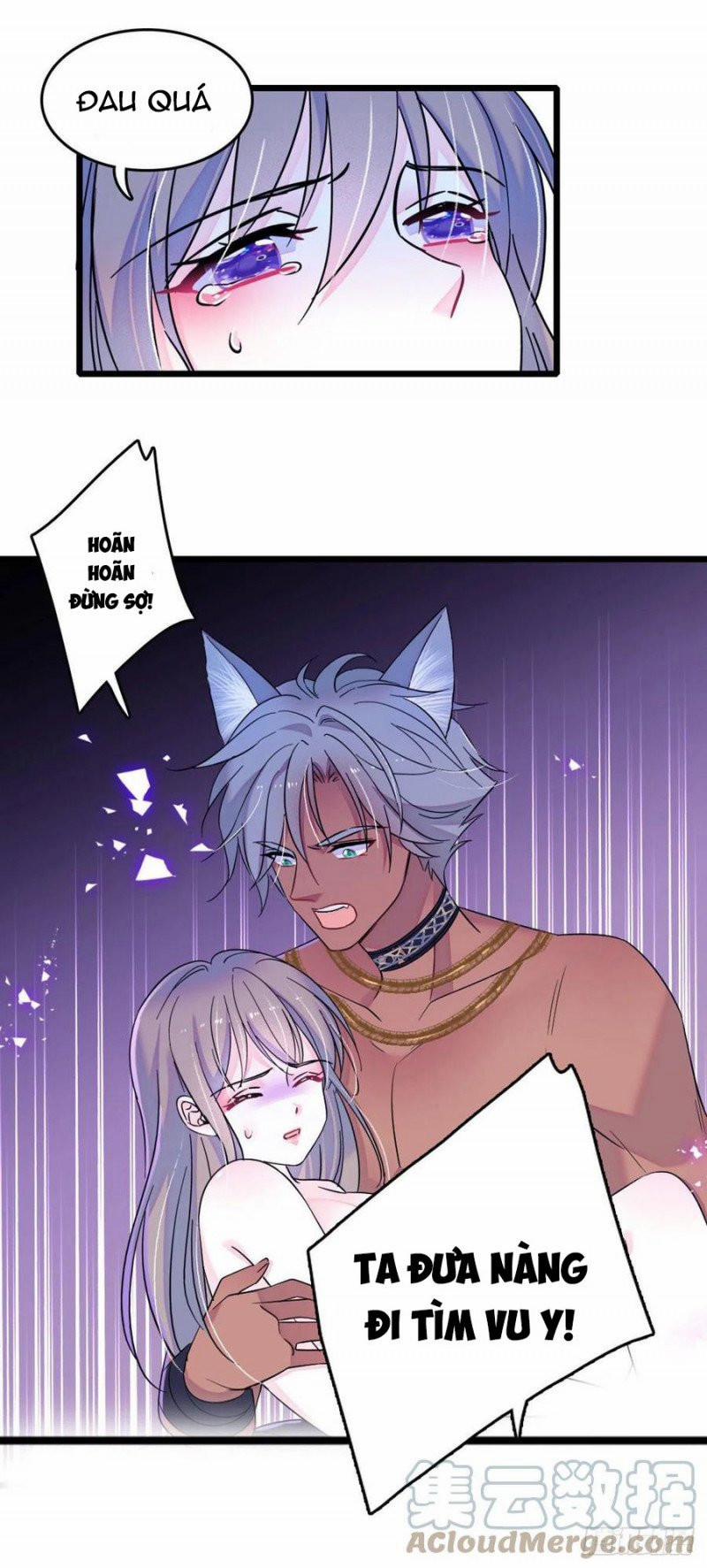 Mau Chạy !! Nam Thần Thú Thế Đến Truy Thê 66 trang 12