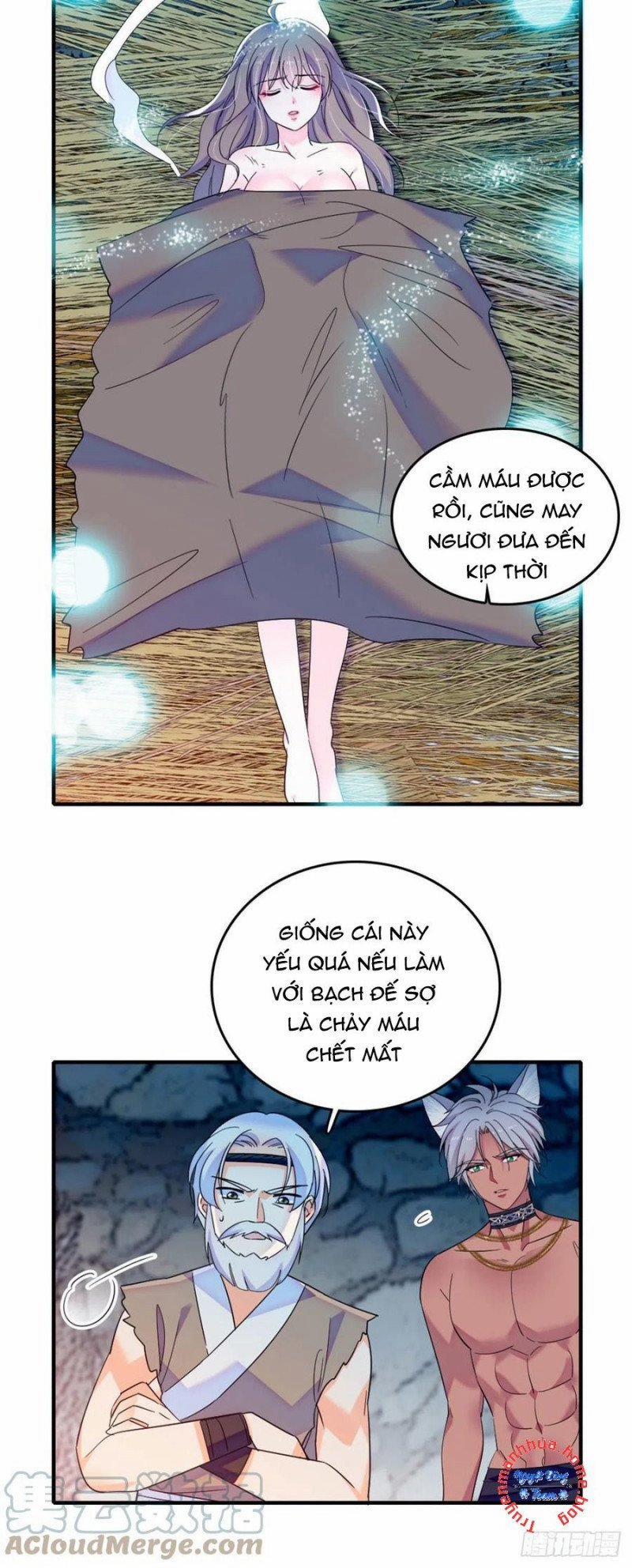 Mau Chạy !! Nam Thần Thú Thế Đến Truy Thê 67 trang 5