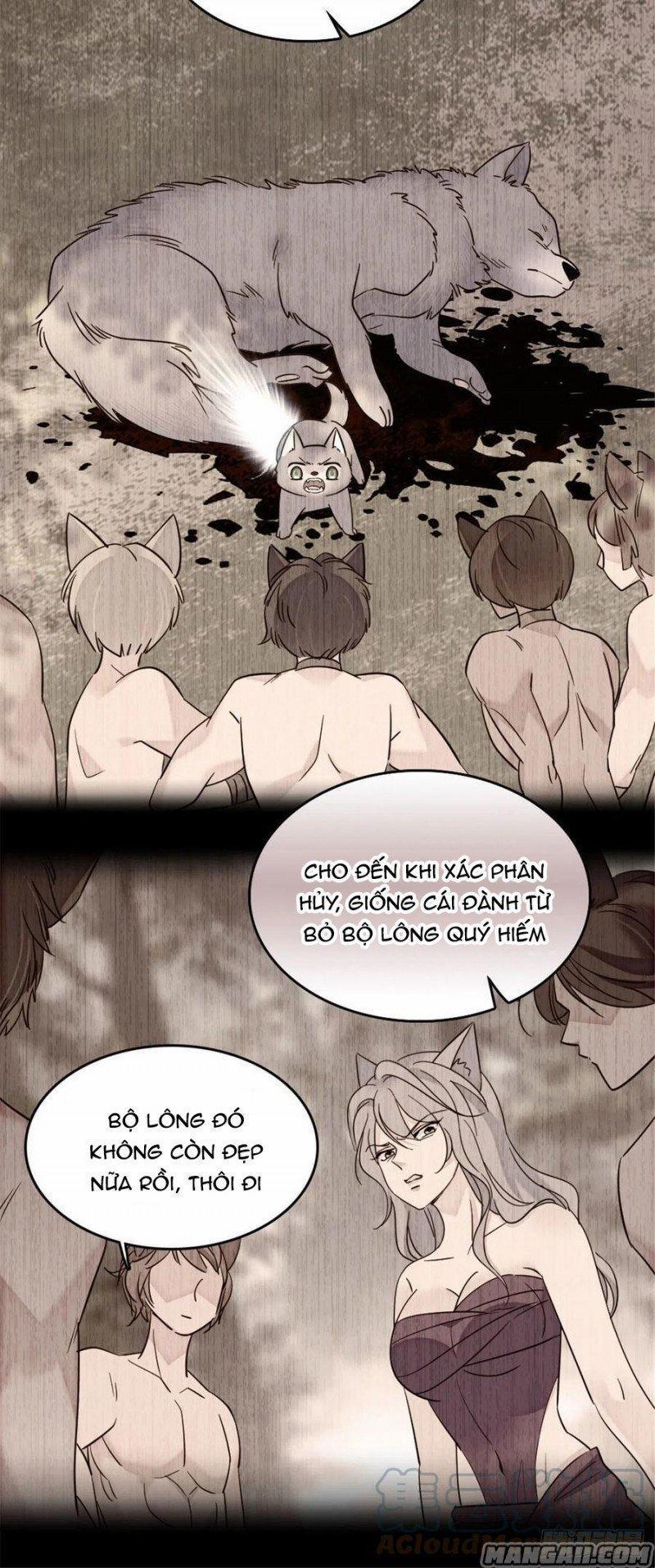 Mau Chạy !! Nam Thần Thú Thế Đến Truy Thê 71 trang 1