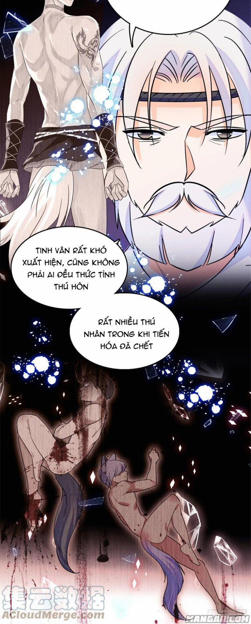 Mau Chạy !! Nam Thần Thú Thế Đến Truy Thê 74 trang 13