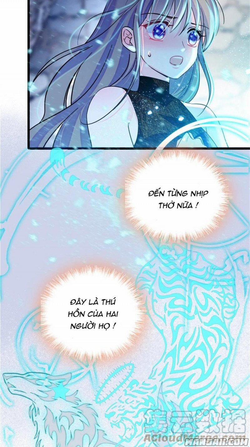 Mau Chạy !! Nam Thần Thú Thế Đến Truy Thê 77 trang 11