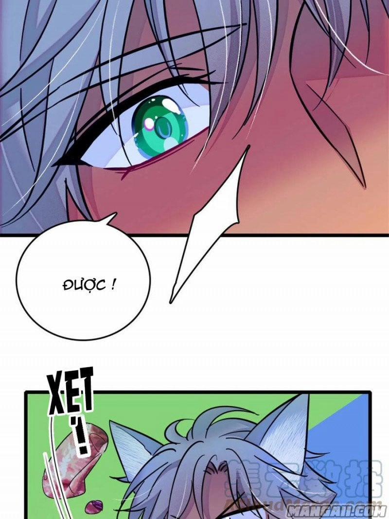 Mau Chạy !! Nam Thần Thú Thế Đến Truy Thê 81 trang 10