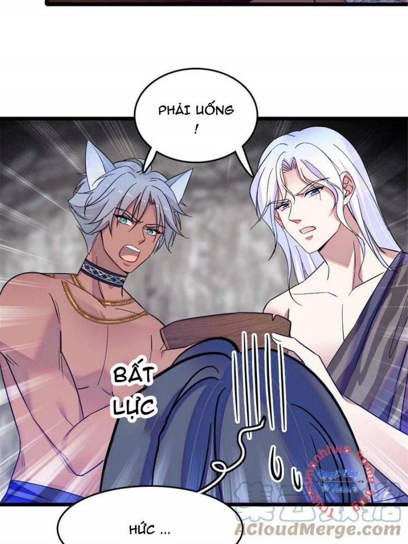 Mau Chạy !! Nam Thần Thú Thế Đến Truy Thê 87 trang 11