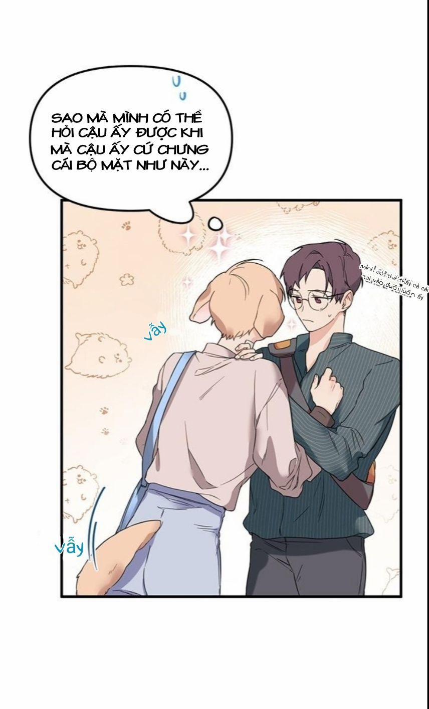 Máu Và Tình Yêu 11 trang 23