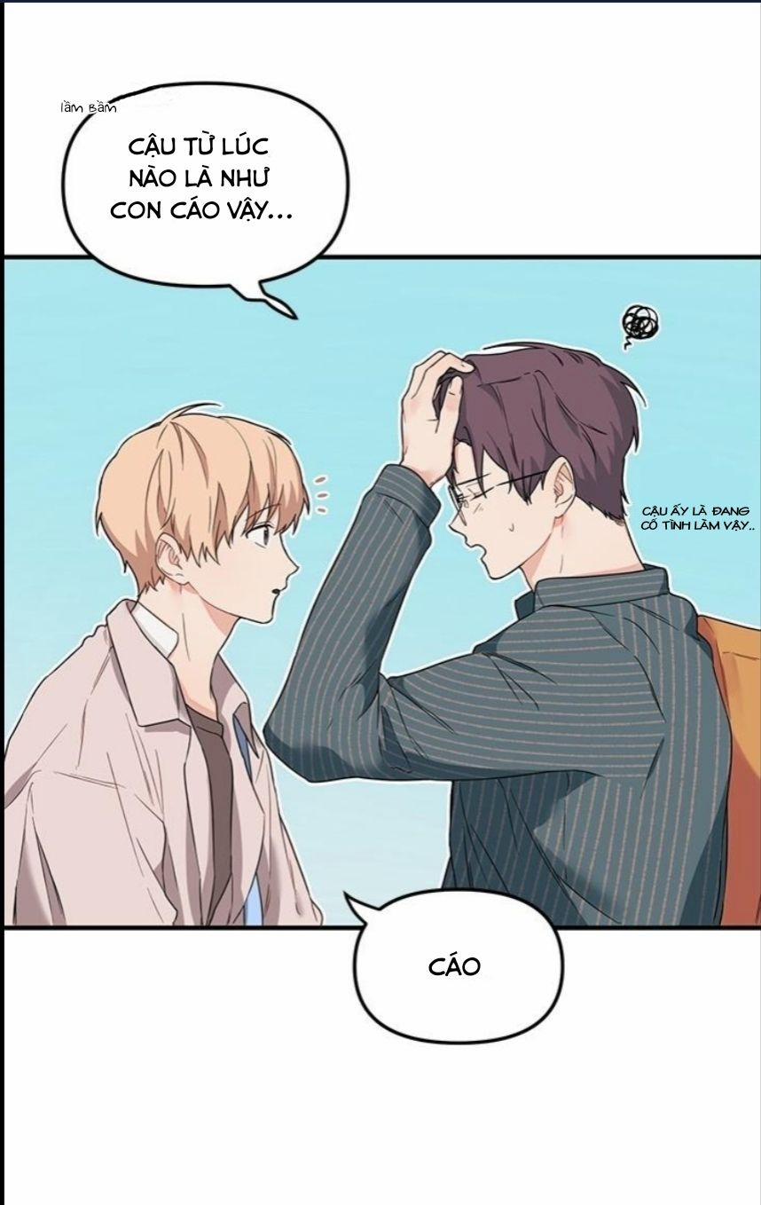 Máu Và Tình Yêu 11 trang 24