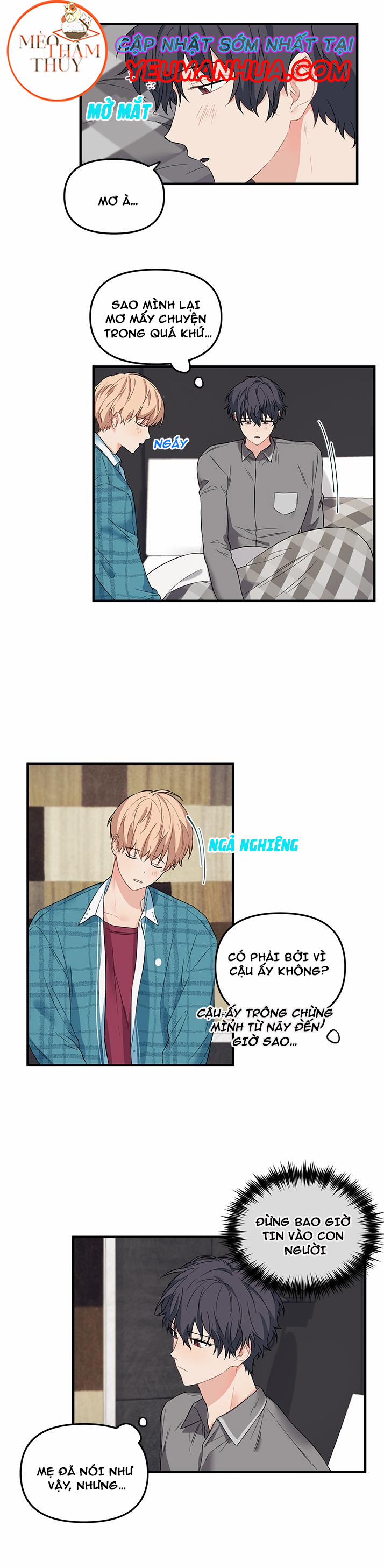 Máu Và Tình Yêu 15 trang 21