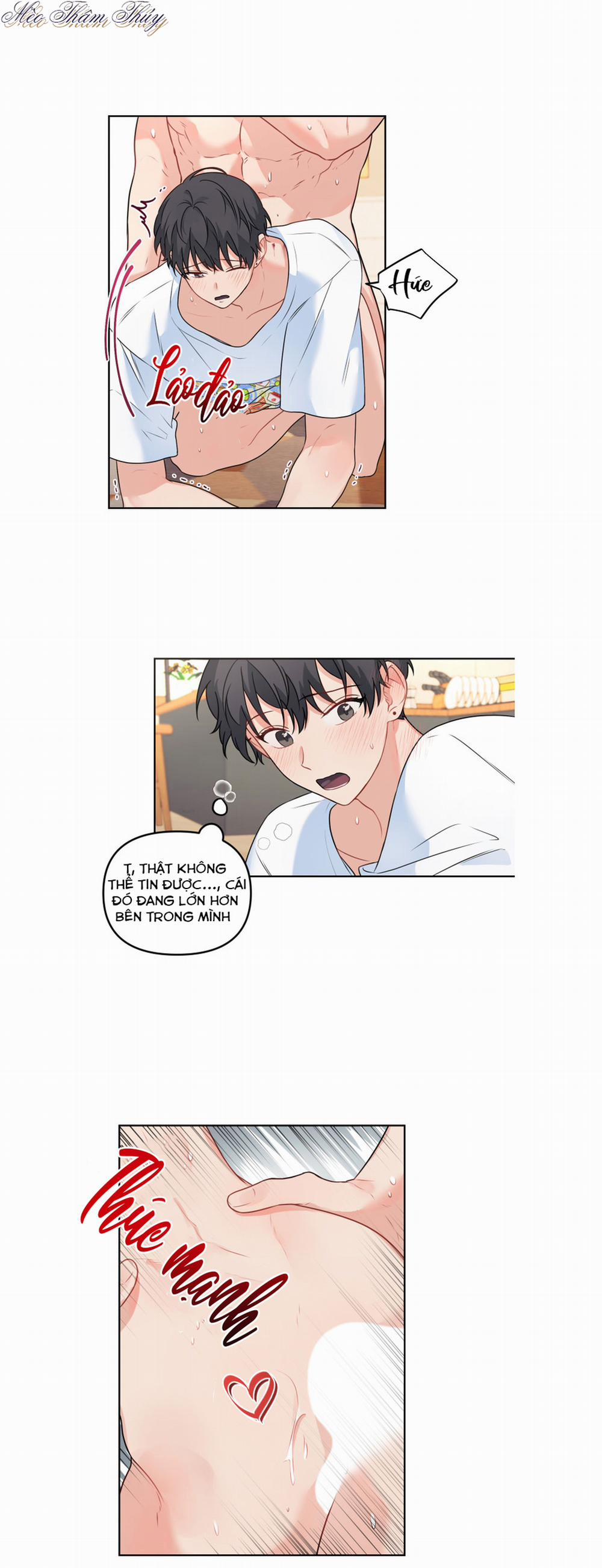 Máu Và Tình Yêu 50 trang 13
