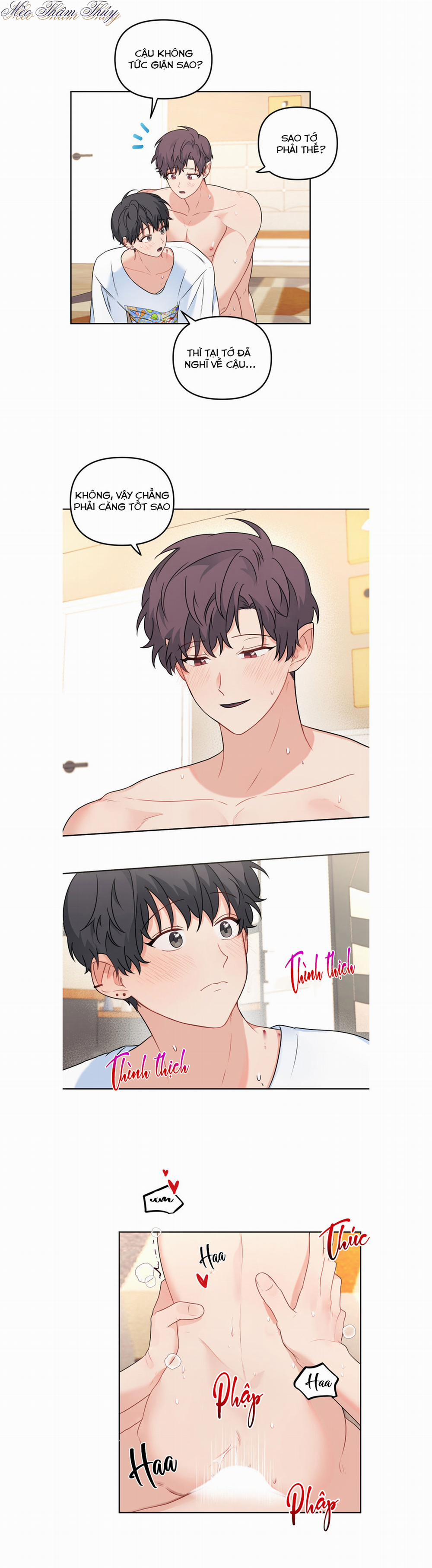 Máu Và Tình Yêu 50 trang 15