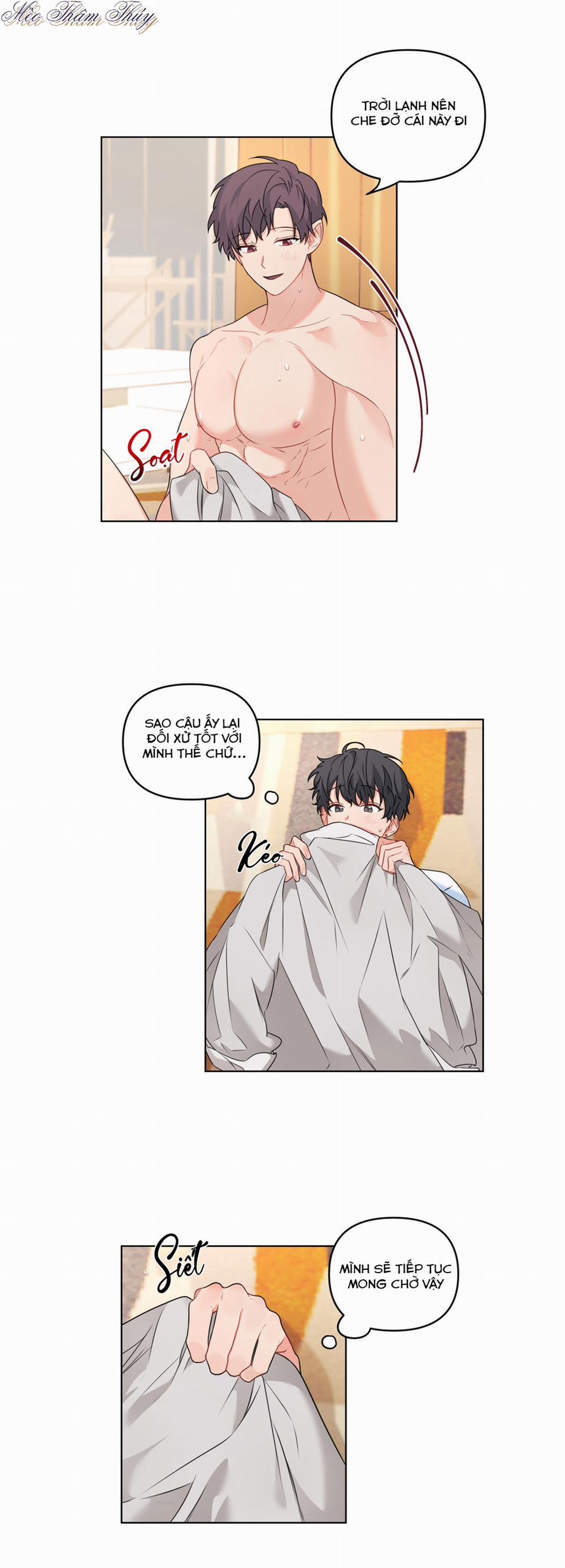 Máu Và Tình Yêu 50 trang 21