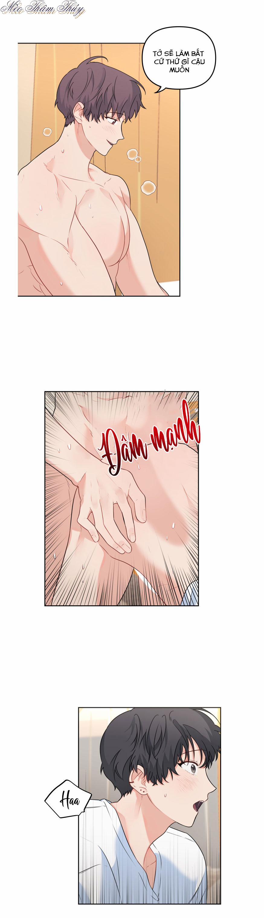 Máu Và Tình Yêu 50 trang 3