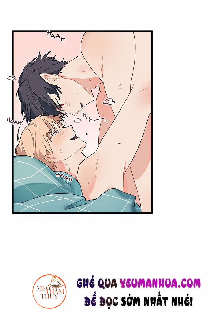 Máu Và Tình Yêu 8 trang 14