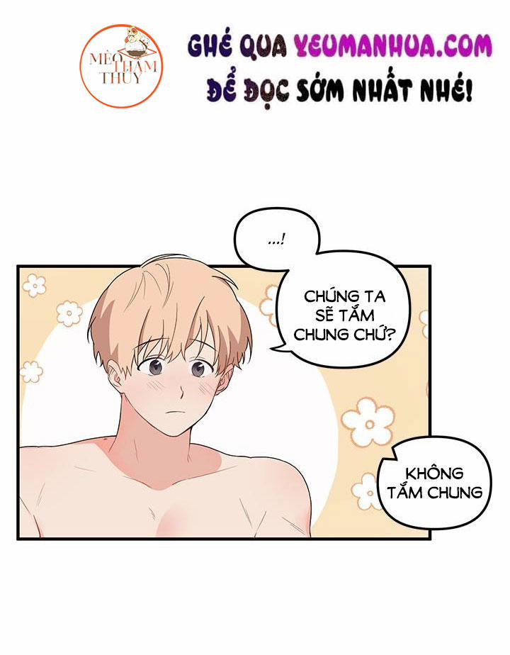 Máu Và Tình Yêu 8 trang 17