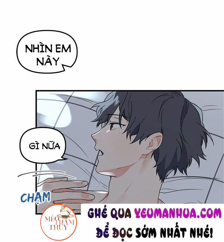 Máu Và Tình Yêu 8 trang 34