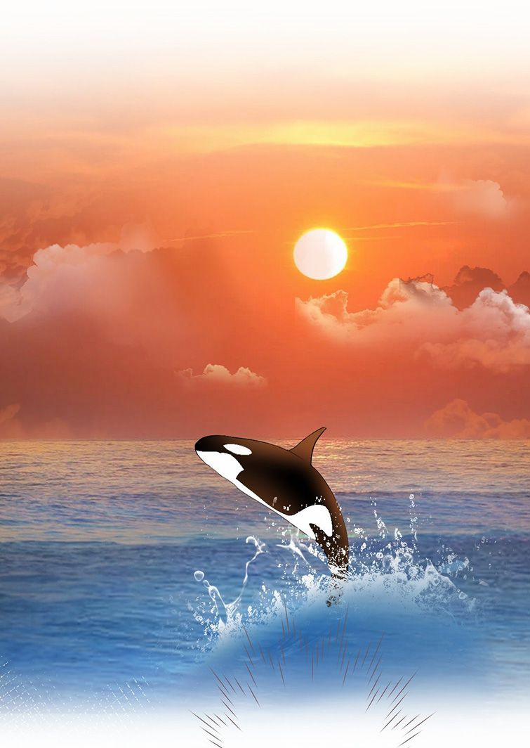 Máy Bay Giấy 71 trang 26