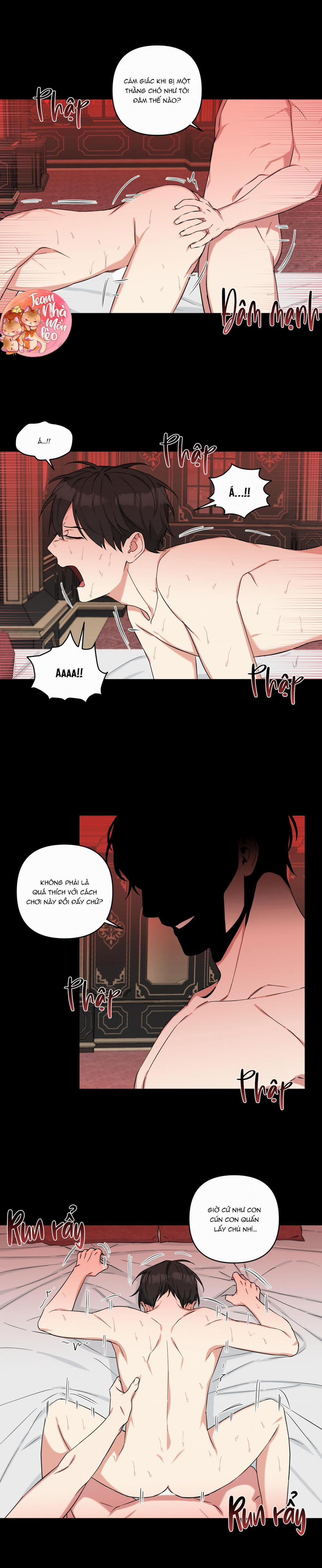 May Rủi Của Vampire 13 trang 4