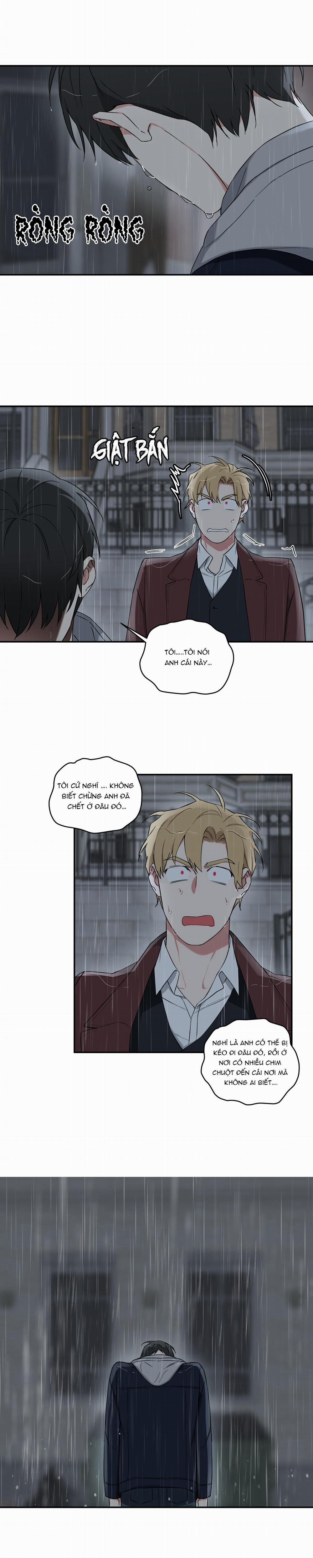 May Rủi Của Vampire 14 trang 11