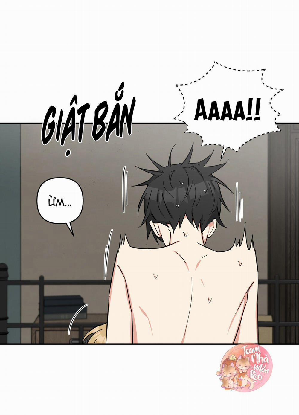 May Rủi Của Vampire 16 trang 11