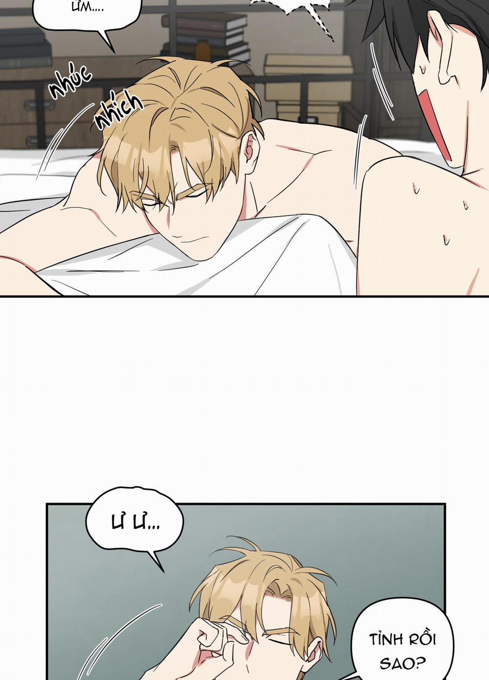 May Rủi Của Vampire 16 trang 15