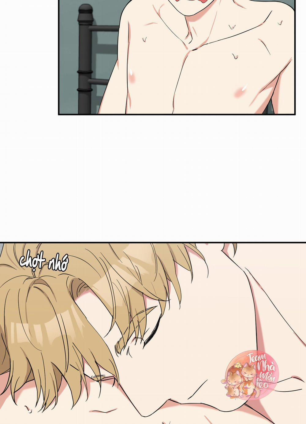 May Rủi Của Vampire 16 trang 6