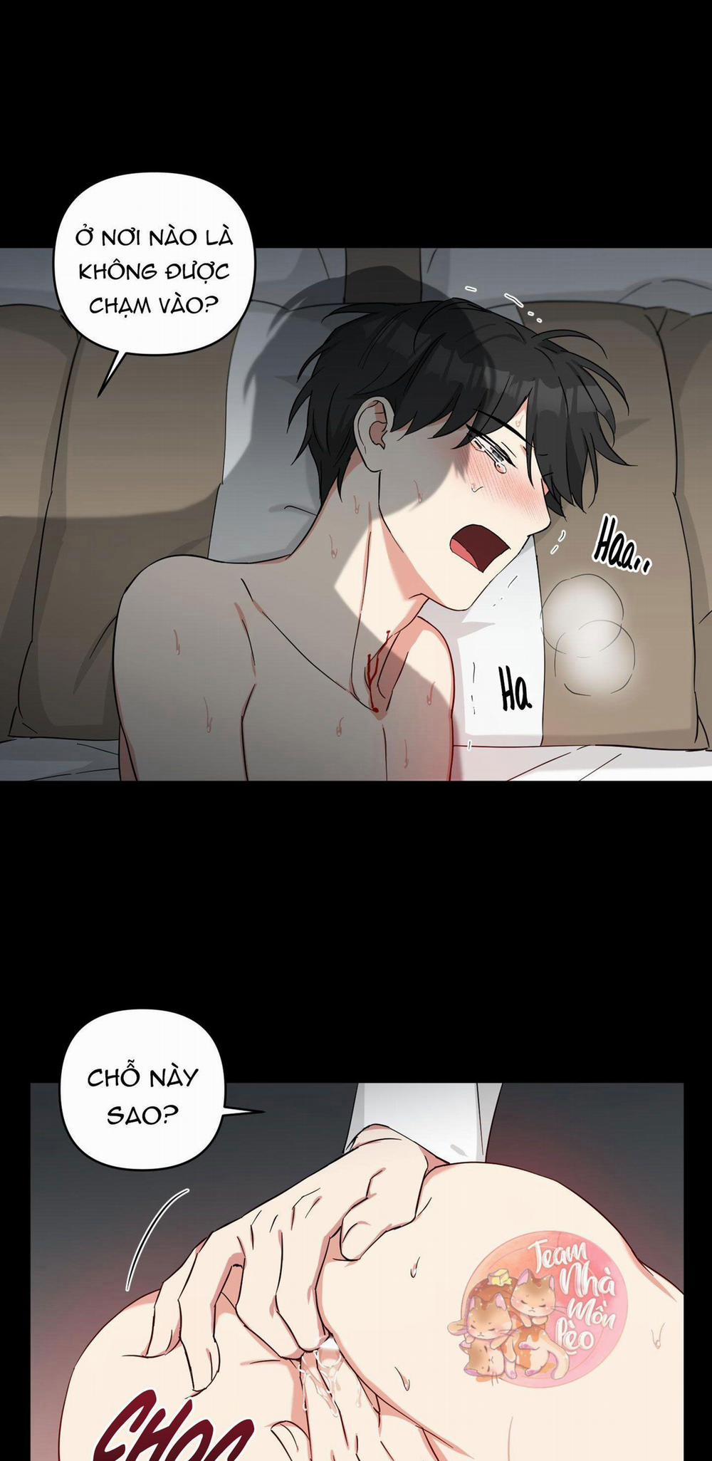 May Rủi Của Vampire 20 trang 22