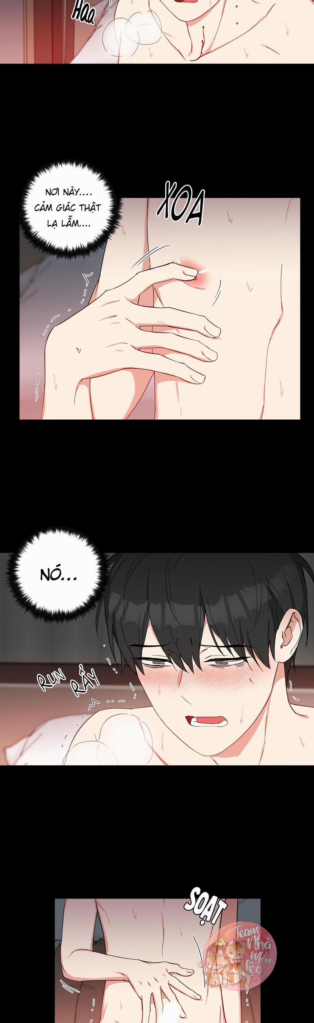 May Rủi Của Vampire 20 trang 3