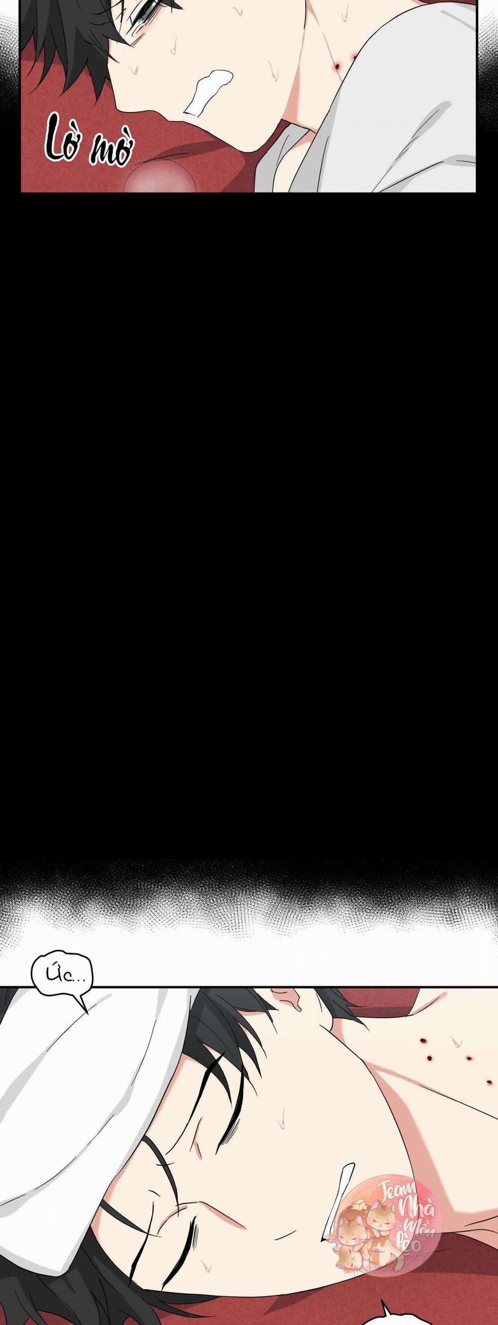 May Rủi Của Vampire 33 trang 4