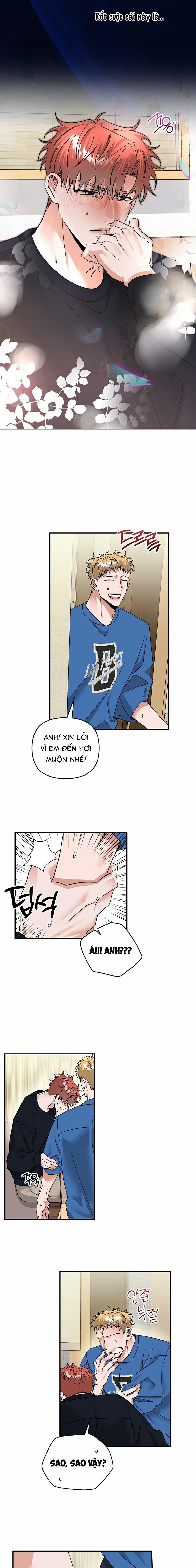 Mây Trong Vườn Sao Băng 26 trang 12