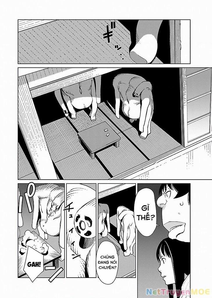 Mê Cung Triệu Chiếu 7 trang 14