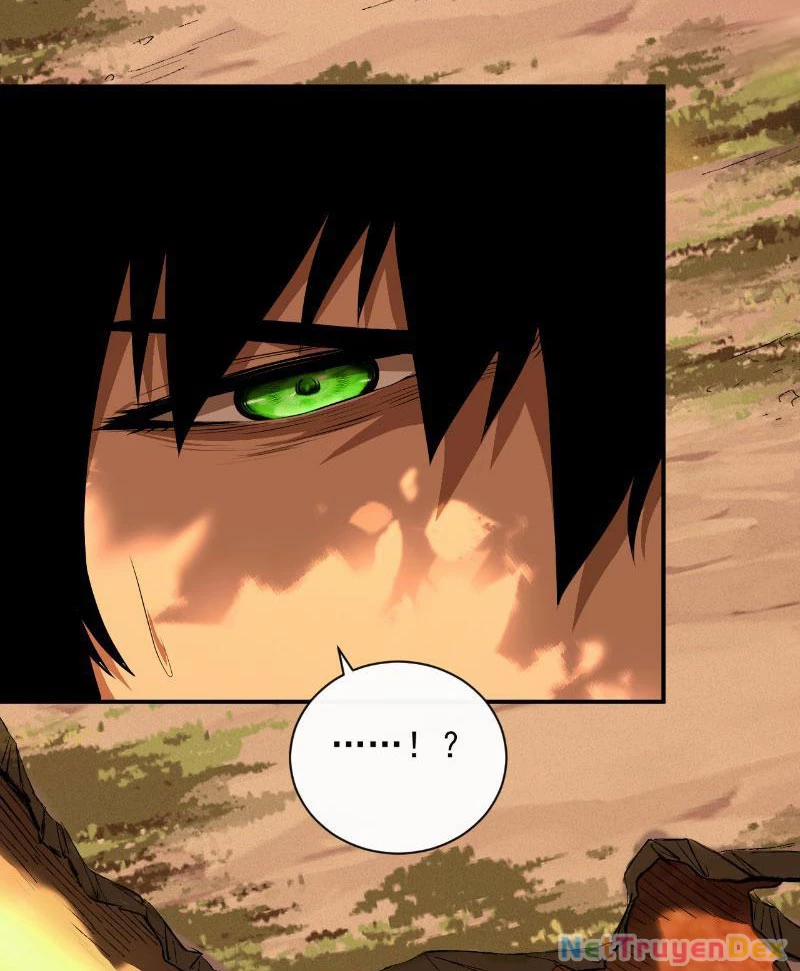 Mệnh Luân Chi Chủ! Khi Dị Biến Giáng Lâm Nhân Gian! 2 trang 4