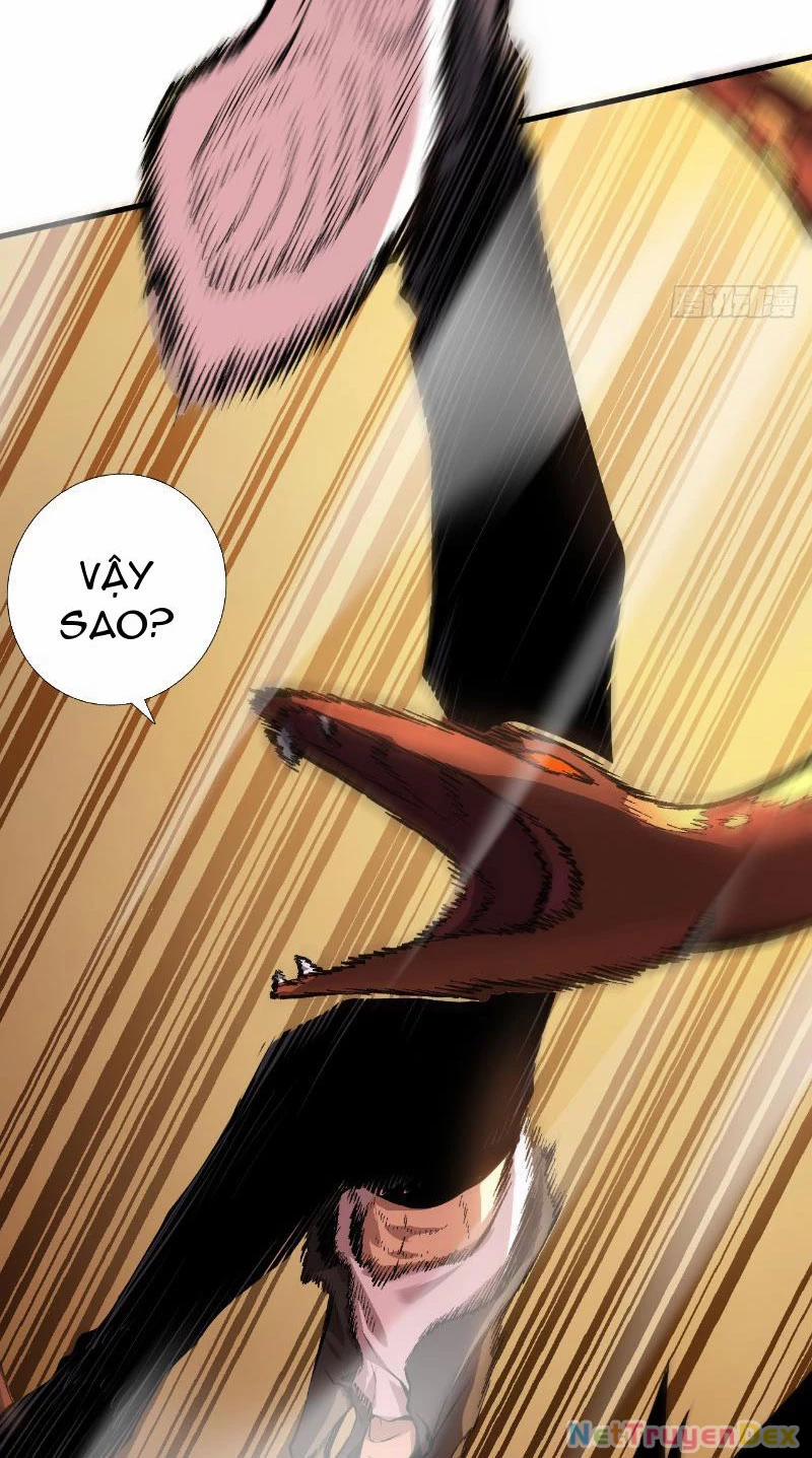 Mệnh Luân Chi Chủ! Khi Dị Biến Giáng Lâm Nhân Gian! 3 trang 12