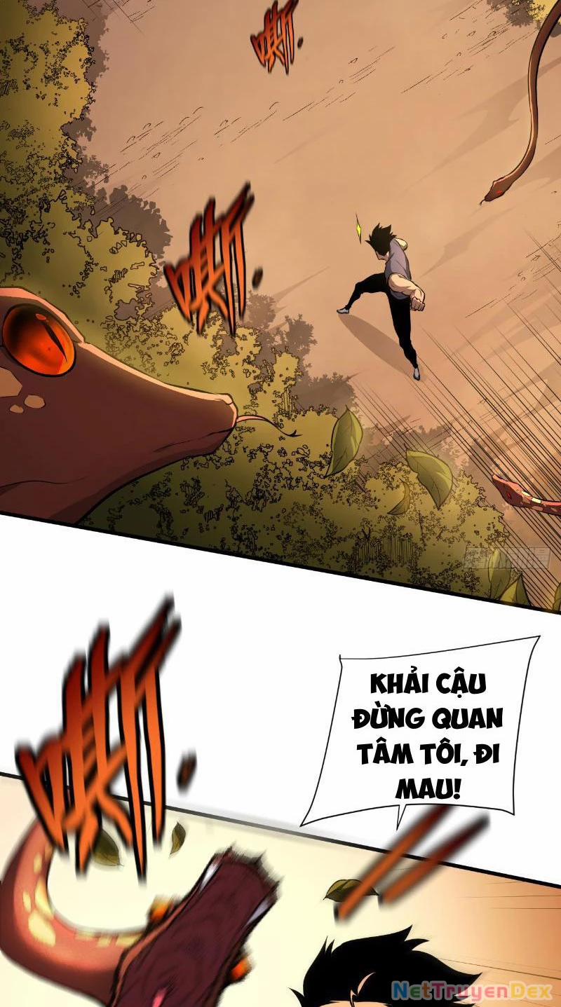 Mệnh Luân Chi Chủ! Khi Dị Biến Giáng Lâm Nhân Gian! 3 trang 2