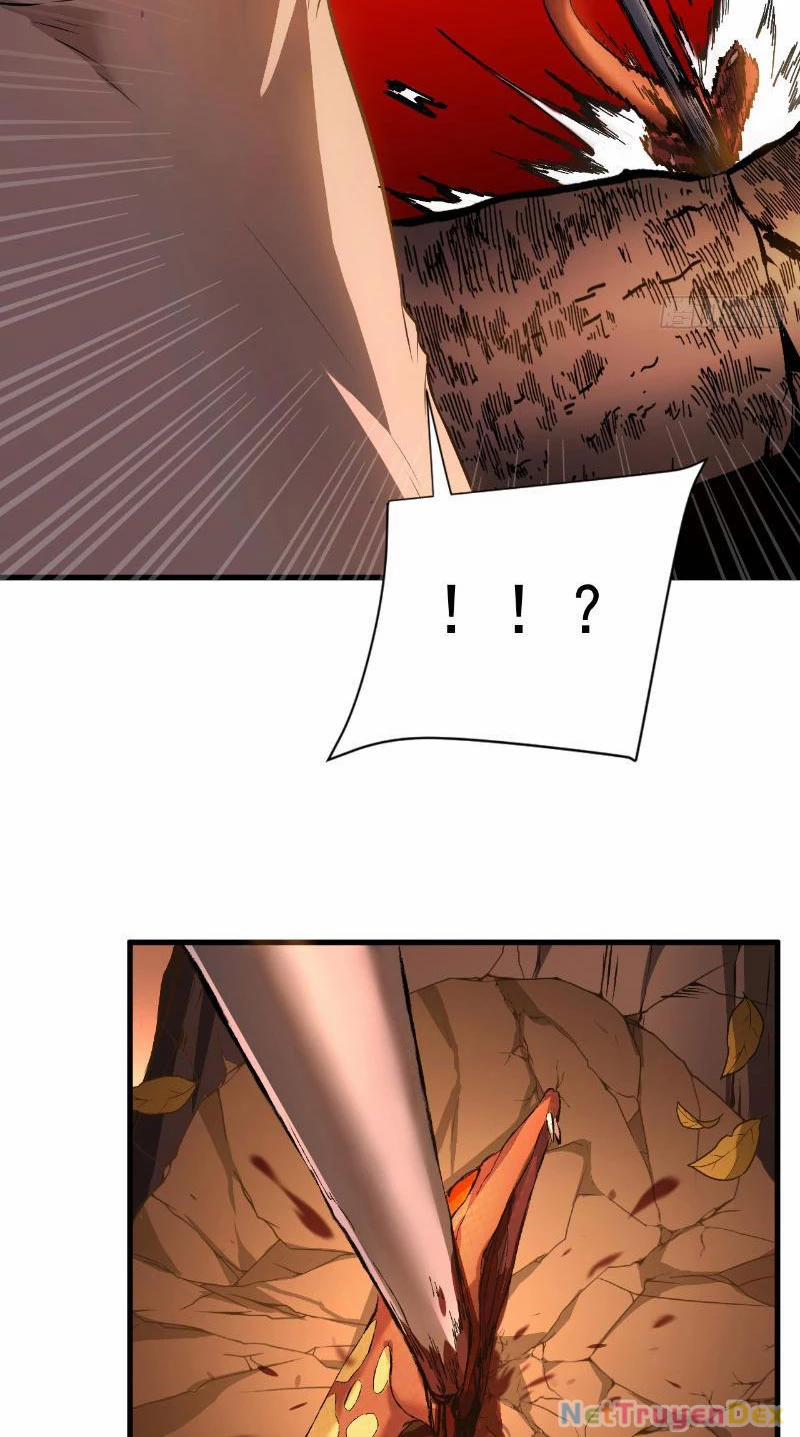 Mệnh Luân Chi Chủ! Khi Dị Biến Giáng Lâm Nhân Gian! 3 trang 7