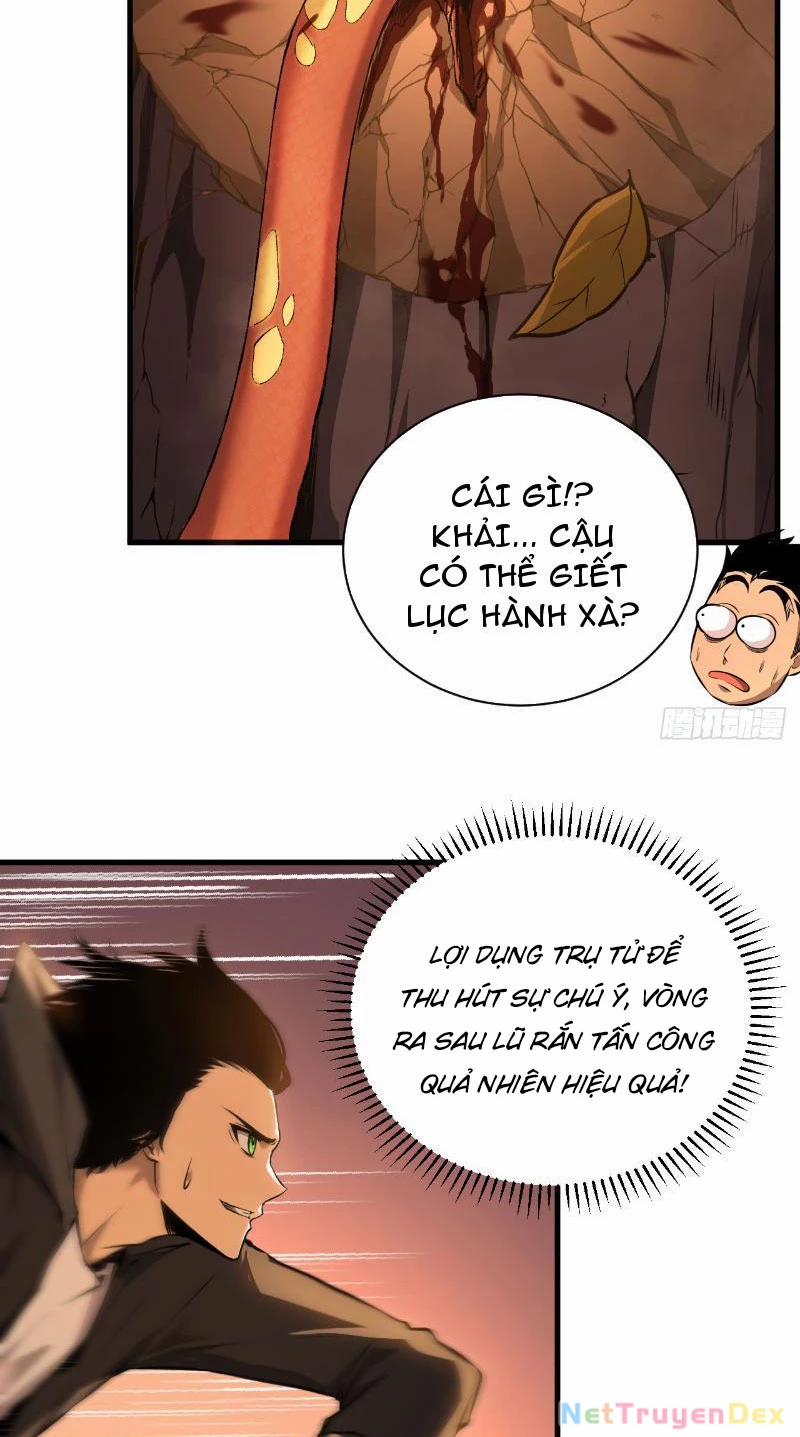 Mệnh Luân Chi Chủ! Khi Dị Biến Giáng Lâm Nhân Gian! 3 trang 8