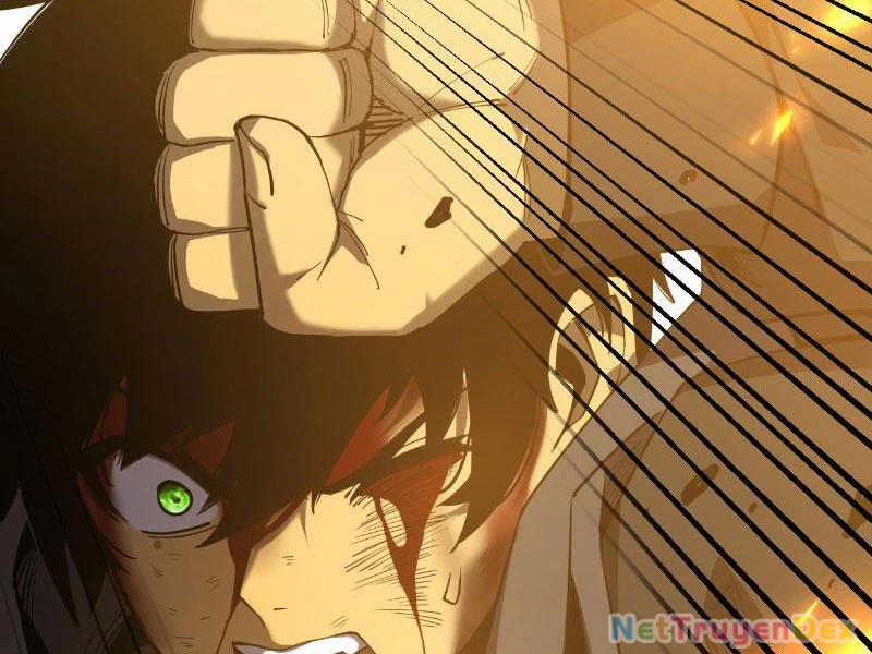 Mệnh Luân Chi Chủ! Khi Dị Biến Giáng Lâm Nhân Gian! 5 trang 12