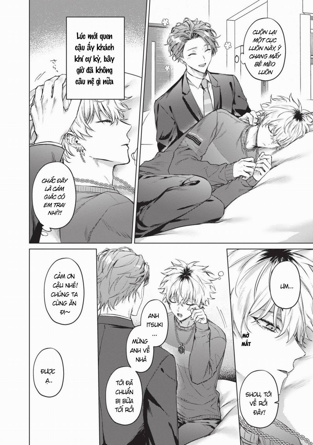 Mèo Nhỏ Dưới Ánh Hoàng Hôn 2 trang 1