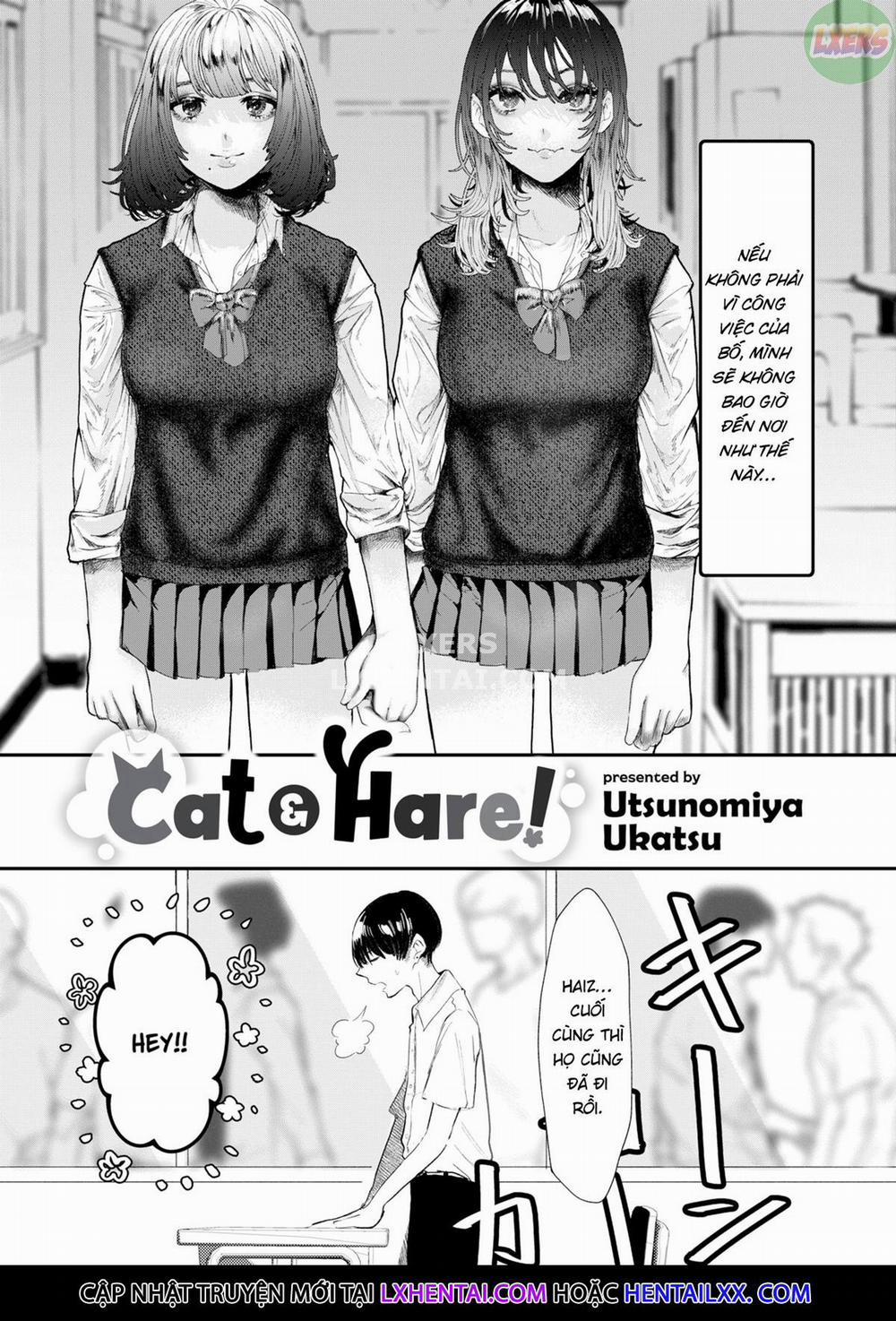 Mèo & Thỏ Oneshot trang 2