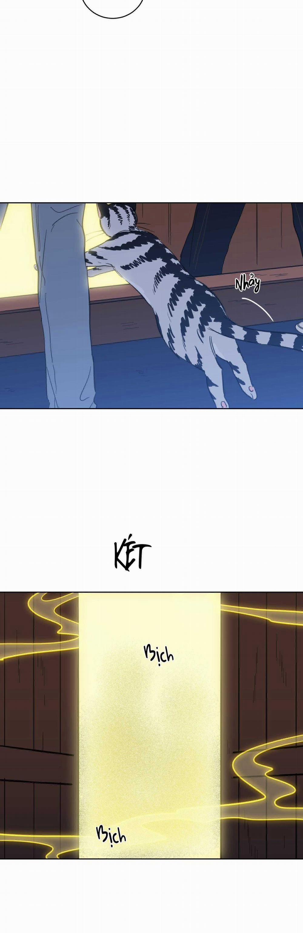 Mẹo Thuần Hóa Hổ 104 trang 27