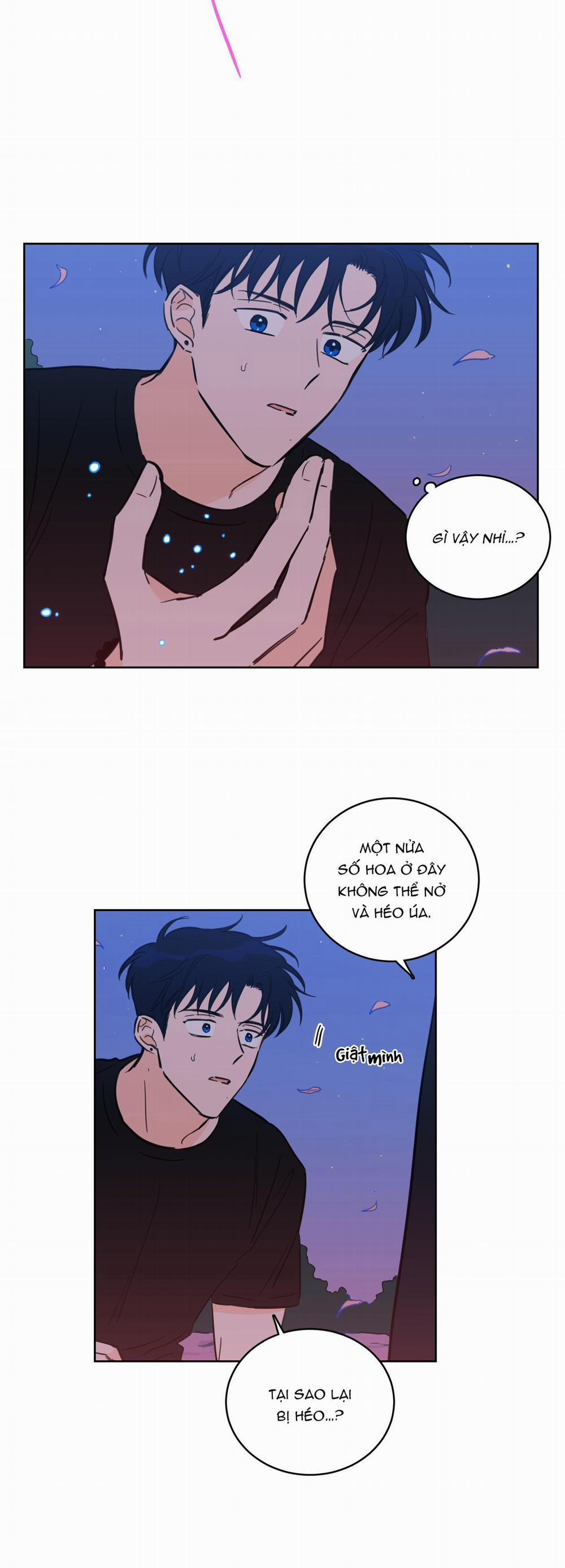 Mẹo Thuần Hóa Hổ 67 trang 11