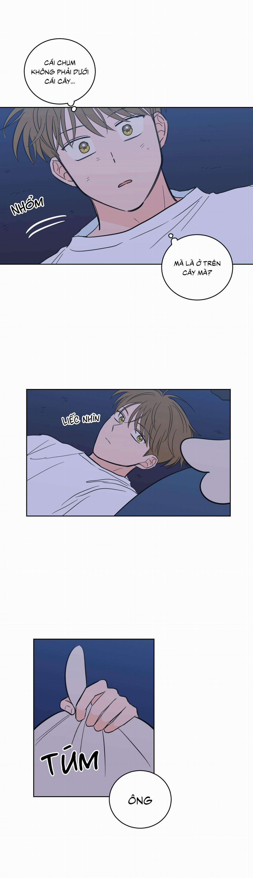 Mẹo Thuần Hóa Hổ 88 trang 16