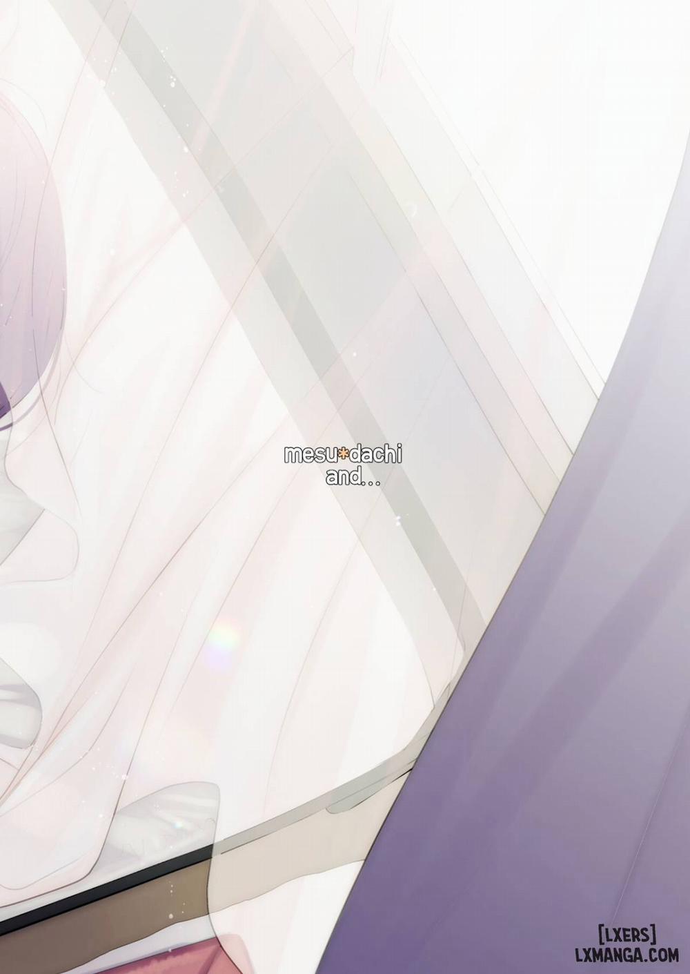 Mesudachi 6 trang 32