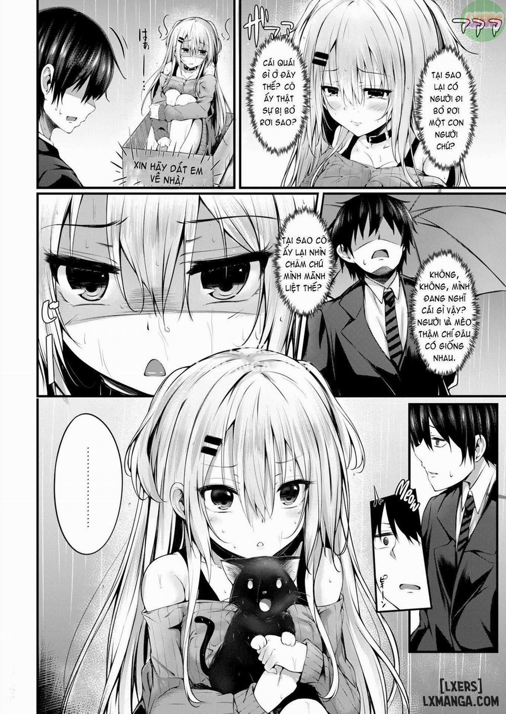 Migratory Cat Oneshot trang 1