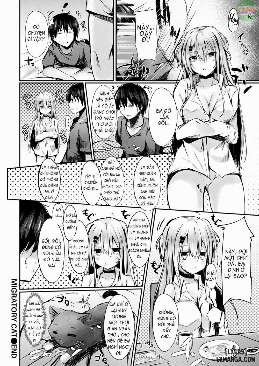 Migratory Cat Oneshot trang 19