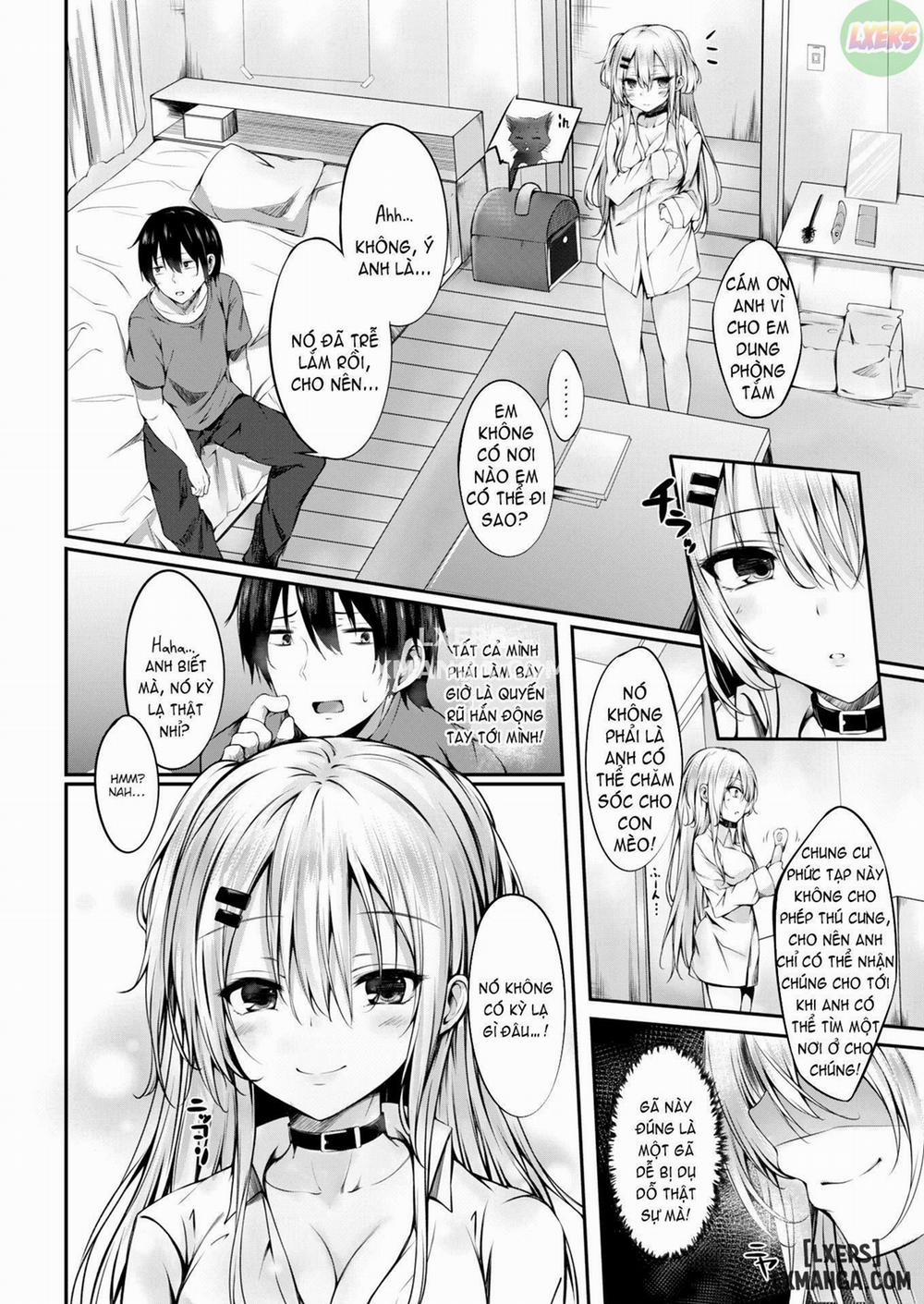 Migratory Cat Oneshot trang 3