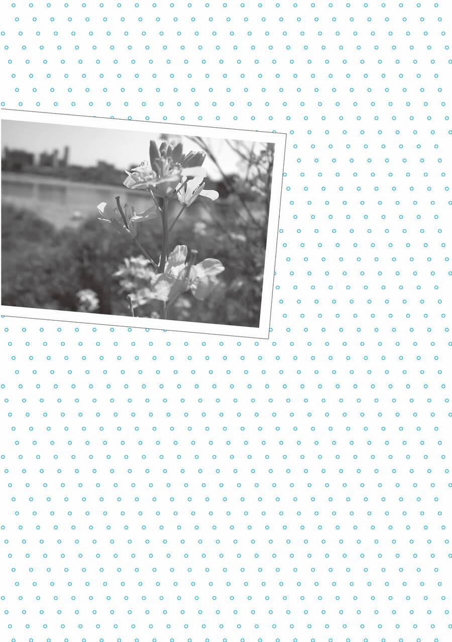 Mikako-San 24 trang 5