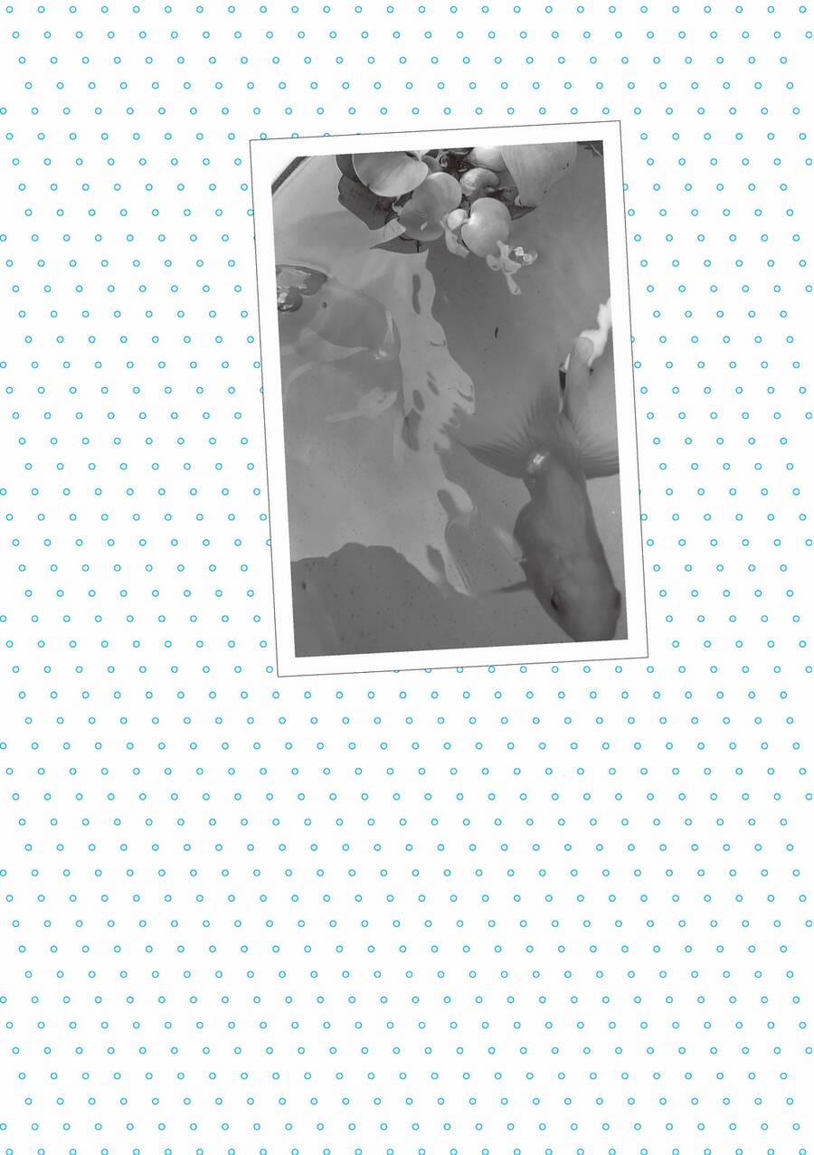 Mikako-San 28 trang 6