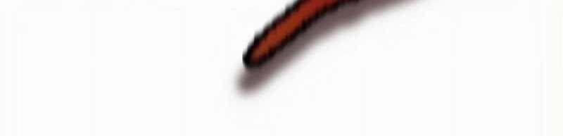 Mình Tao Là Siêu Việt Giả Mạnh Nhất! 17 trang 287