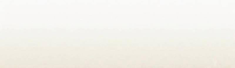 Mình Tao Là Siêu Việt Giả Mạnh Nhất! 19 trang 279